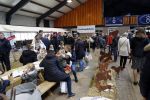 Boekel 19 oktober 2019
Meerdere boeren van boer zoekt vrouw stan op een mini markt in de stallen van Boerin Steffi