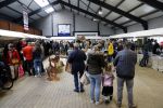 Boekel 19 oktober 2019
Meerdere boeren van boer zoekt vrouw stan op een mini markt in de stallen van Boerin Steffi