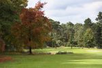 Valkenswaard, 12 Oktober 2019
Eindhovensche golfbaan