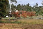 Valkenswaard, 12 Oktober 2019
Eindhovensche golfbaan