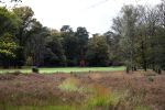 Valkenswaard, 12 Oktober 2019
Eindhovensche golfbaan