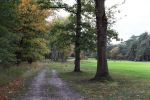 Valkenswaard, 12 Oktober 2019
Eindhovensche golfbaan