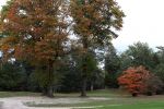 Valkenswaard, 12 Oktober 2019
Eindhovensche golfbaan