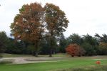 Valkenswaard, 12 Oktober 2019
Eindhovensche golfbaan