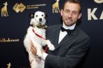 Utrecht 4 oktober 2019
Uitreiking gouden kalveren in schouwburg Utrecht. Johannes Hogebrink met hond Chayka