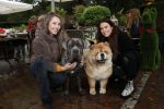 Blaricum 4 oktober 2019
Dierendag met een ontbijt voor de hondjes georganiseerd door Rosanna Kluivert en Nino Wilkes. Anouk Smulders presenteert het. Julia Mekkes en Ann Dominique Wilten