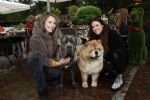Blaricum 4 oktober 2019
Dierendag met een ontbijt voor de hondjes georganiseerd door Rosanna Kluivert en Nino Wilkes. Anouk Smulders presenteert het. Julia Mekkes en Ann Dominique Wilten