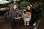 Blaricum 4 oktober 2019
Dierendag met een ontbijt voor de hondjes georganiseerd door Rosanna Kluivert en Nino Wilkes. Anouk Smulders presenteert het. Julia Mekkes en Ann Dominique Wilten