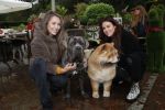 Blaricum 4 oktober 2019
Dierendag met een ontbijt voor de hondjes georganiseerd door Rosanna Kluivert en Nino Wilkes. Anouk Smulders presenteert het. Julia Mekkes en Ann Dominique Wilten