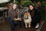 Blaricum 4 oktober 2019
Dierendag met een ontbijt voor de hondjes georganiseerd door Rosanna Kluivert en Nino Wilkes. Anouk Smulders presenteert het. Julia Mekkes en Ann Dominique Wilten