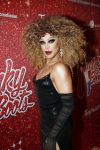 Amsterdam 11 november 2019
Premiere Kinky boots in theater de Meervaart.