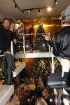 Amsterdam 12 november 2019
Presentatie en opening winkel Shoeby van Fred v Leer en Nicolette v Dam.
Monique Westenberg en Nikkie Plessen