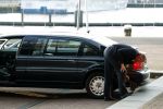Amsterdam 4 november 2019
Koningin Maxima en prinses Beatrix arriveren bij uitreiking prins Bernhard cultuurprijs in theater aan het IJ. Chauffeur van prinses Beatrix rijdt schade aan haar verlengde Volvo