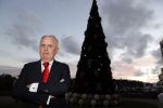 Noordwijk 5 november 2020
Harry Mens steekt de lichten van de kerstboom bij Hotel Huis ter Duin aan dit jaar.