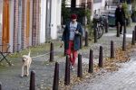Amsterdam 22 oktober 2020
Henry v Loon wandelend met zijn hond in het centrum van Amsterdam