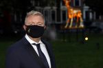 Utrecht 2 oktober 2020
Uitreiking gouden kalveren in de schouwburg van Utrecht. Rene Mioch met mondkapje