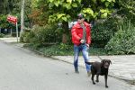 Mijdrecht 9 oktober 2020
Rogier Smit woont tijdelijk bij Rachel hazes met zijn hond.