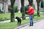 Mijdrecht 9 oktober 2020
Rogier Smit woont tijdelijk bij Rachel hazes met zijn hond.