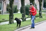 Mijdrecht 9 oktober 2020
Rogier Smit woont tijdelijk bij Rachel hazes met zijn hond.