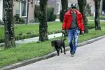 Mijdrecht 9 oktober 2020
Rogier Smit woont tijdelijk bij Rachel hazes met zijn hond.