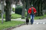 Mijdrecht 9 oktober 2020
Rogier Smit woont tijdelijk bij Rachel hazes met zijn hond.
