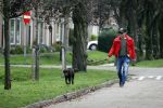 Mijdrecht 9 oktober 2020
Rogier Smit woont tijdelijk bij Rachel hazes met zijn hond.