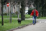 Mijdrecht 9 oktober 2020
Rogier Smit woont tijdelijk bij Rachel hazes met zijn hond.