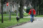 Mijdrecht 9 oktober 2020
Rogier Smit woont tijdelijk bij Rachel hazes met zijn hond.