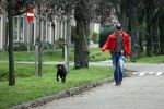 Mijdrecht 9 oktober 2020
Rogier Smit woont tijdelijk bij Rachel hazes met zijn hond.