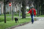 Mijdrecht 9 oktober 2020
Rogier Smit woont tijdelijk bij Rachel hazes met zijn hond.