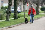 Mijdrecht 9 oktober 2020
Rogier Smit woont tijdelijk bij Rachel hazes met zijn hond.
