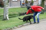 Mijdrecht 9 oktober 2020
Rogier Smit woont tijdelijk bij Rachel hazes met zijn hond.