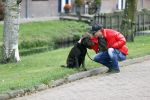 Mijdrecht 9 oktober 2020
Rogier Smit woont tijdelijk bij Rachel hazes met zijn hond.