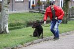 Mijdrecht 9 oktober 2020
Rogier Smit woont tijdelijk bij Rachel hazes met zijn hond.