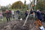 Alphen aan de Rijn 10 november 2021
Prinses Irene opent de Nationale Boomfeestdag. Samen met haar zoon prins Carlos, haar dochter prinses Margarita, schoondochter Viktoria en kleinkinderen plantte ze een Levensboom (een populier) in haar eigen Prinses IreneBos. Sterre Koning trad op .