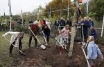 Alphen aan de Rijn 10 november 2021
Prinses Irene opent de Nationale Boomfeestdag. Samen met haar zoon prins Carlos, haar dochter prinses Margarita, schoondochter Viktoria en kleinkinderen plantte ze een Levensboom (een populier) in haar eigen Prinses IreneBos. Sterre Koning trad op . Albert Verlinde