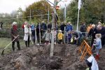 Alphen aan de Rijn 10 november 2021
Prinses Irene opent de Nationale Boomfeestdag. Samen met haar zoon prins Carlos, haar dochter prinses Margarita, schoondochter Viktoria en kleinkinderen plantte ze een Levensboom (een populier) in haar eigen Prinses IreneBos. Sterre Koning trad op .
