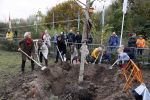 Alphen aan de Rijn 10 november 2021
Prinses Irene opent de Nationale Boomfeestdag. Samen met haar zoon prins Carlos, haar dochter prinses Margarita, schoondochter Viktoria en kleinkinderen plantte ze een Levensboom (een populier) in haar eigen Prinses IreneBos. Sterre Koning trad op .