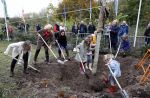 Alphen aan de Rijn 10 november 2021
Prinses Irene opent de Nationale Boomfeestdag. Samen met haar zoon prins Carlos, haar dochter prinses Margarita, schoondochter Viktoria en kleinkinderen plantte ze een Levensboom (een populier) in haar eigen Prinses IreneBos. Sterre Koning trad op .