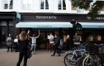 Amsterdam 29 oktober 2022
Aktievoerders op de pc hooftstraat tegen dierenleed. Ze staan voor Tiffany&Co