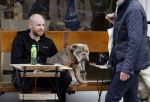 Amsterdam 29 oktober 2022
Davy Klaassen met zijn hond op terras.