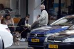 Amsterdam 29 oktober 2022
Davy Klaassen met zijn hond op terras.