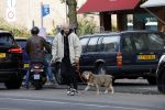 Amsterdam 29 oktober 2022
Davy Klaassen met zijn hond op terras.