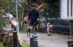 Zuiderwoude 18 november 2022
Thijs Romer laat zijn honden uit .