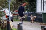 Zuiderwoude 18 november 2022
Thijs Romer laat zijn honden uit .