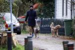 Zuiderwoude 18 november 2022
Thijs Romer laat zijn honden uit .