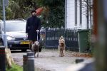 Zuiderwoude 18 november 2022
Thijs Romer laat zijn honden uit .