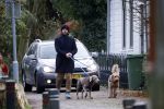 Zuiderwoude 18 november 2022
Thijs Romer laat zijn honden uit .