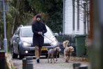 Zuiderwoude 18 november 2022
Thijs Romer laat zijn honden uit .