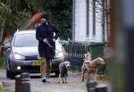 Zuiderwoude 18 november 2022
Thijs Romer laat zijn honden uit .